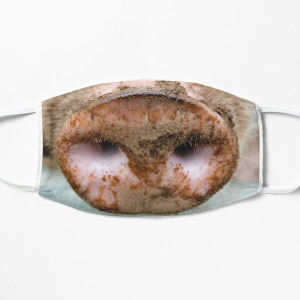 Mask pig pork trunk Corona Covid-19 fun Mask