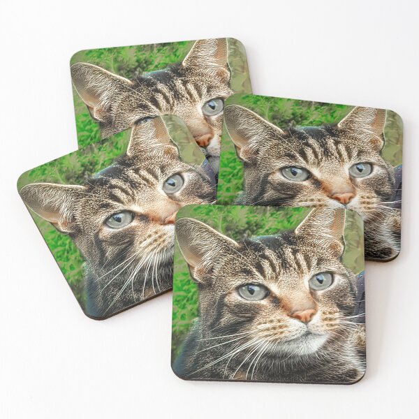 Item preview, The Cats Whiskers designed and sold by sandraanderson.