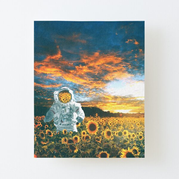 In a galaxy far, far away Canvas Mounted Print
