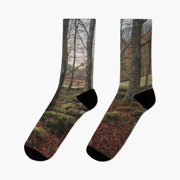 Item preview, Forest in autumn designed and sold by MarioGuti.