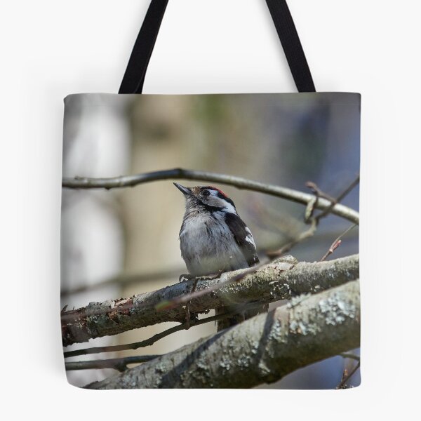 Item preview, Problems of being a male. Lesser Spotted Woodpecker designed and sold by Jouko Lehto Photography.