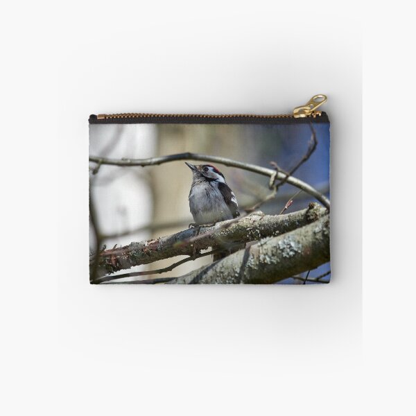 Item preview, Problems of being a male. Lesser Spotted Woodpecker designed and sold by Jouko Lehto Photography.