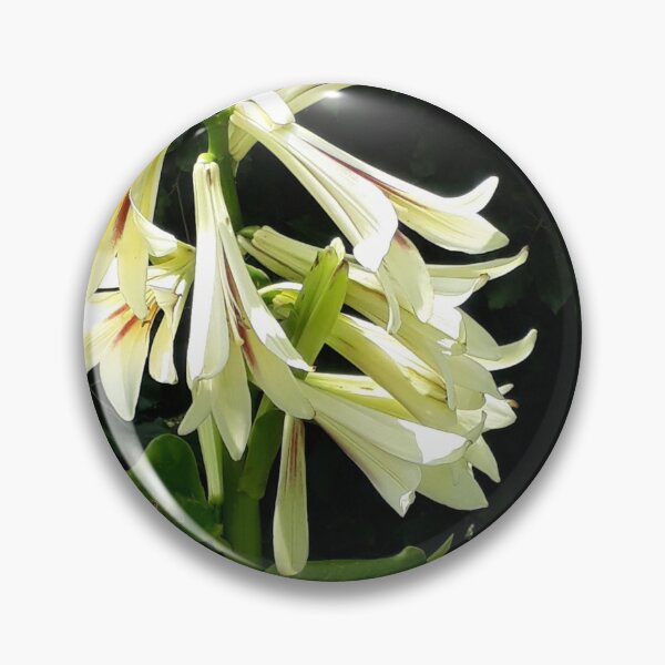 Item preview, Mt Peel Lily designed and sold by coffeebean.