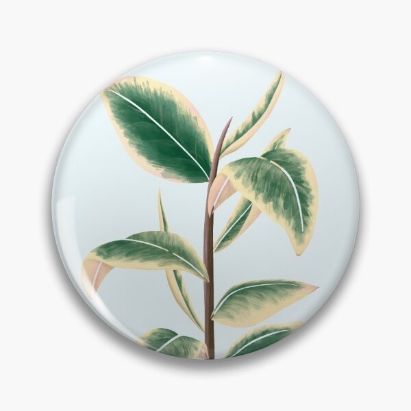 Item preview, Ficus Elastica Variegata designed and sold by Ellanadoesart.