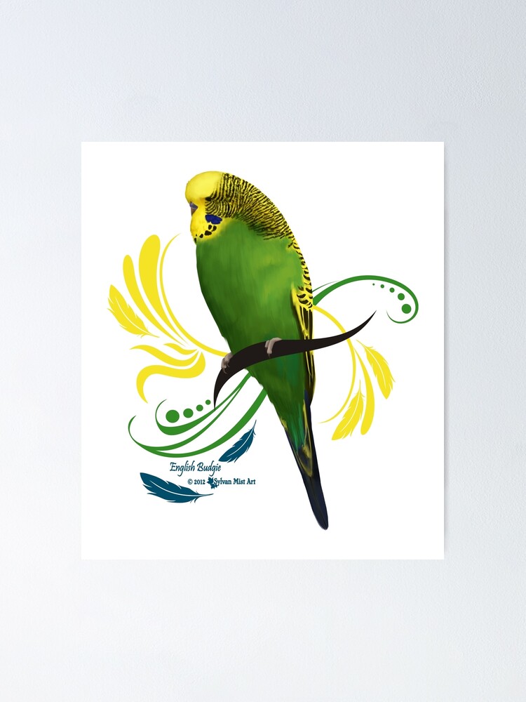 "English Budgie" Poster by sylvanmist | Redbubble