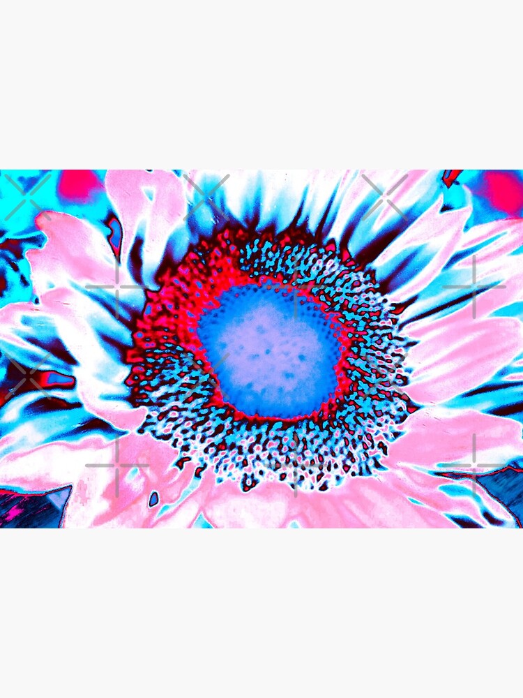 Iced Sunflower - Pink Purple White Blue Flower - Floral Design by OneDayArt