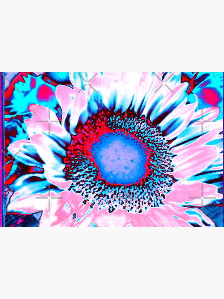 Iced Sunflower - Pink Purple White Blue Flower - Floral Design by OneDayArt
