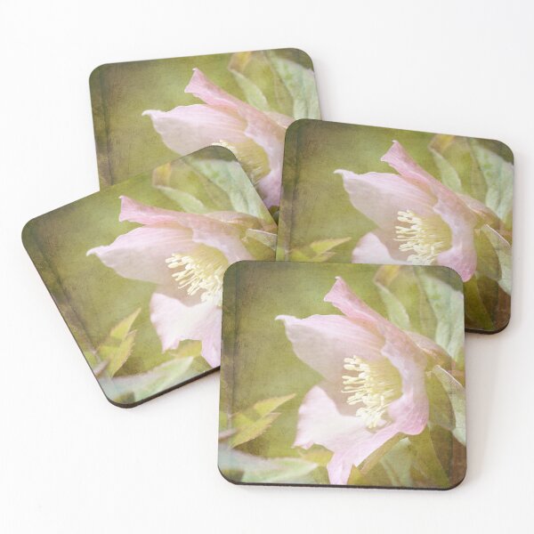 Item preview, Hellebore 3 designed and sold by Linda Lees.