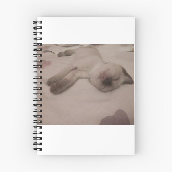 Item preview, cat sleep designed and sold by Famously.
