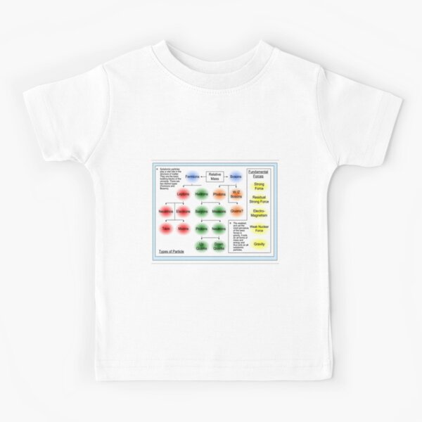 A Poster of Particle Physics Kids T-Shirt