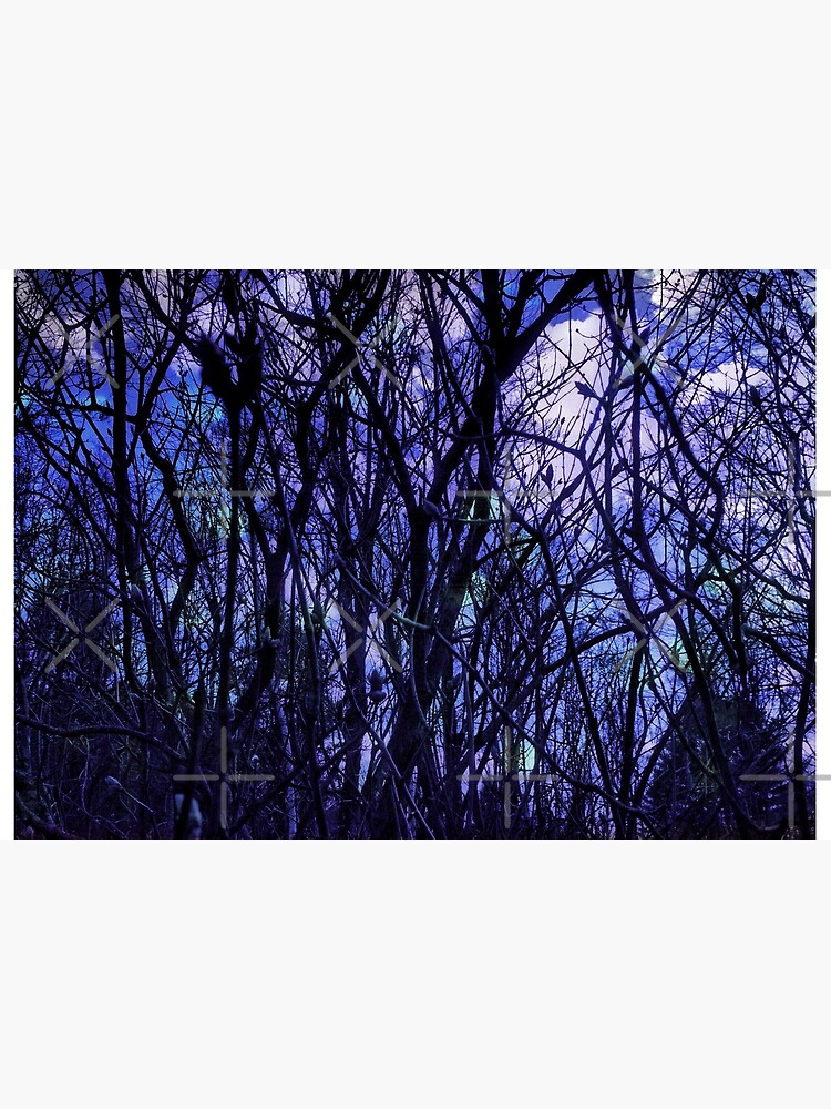 Dark Purple Forest - Purple Blue and Black Bare Tree Landscape by OneDayArt