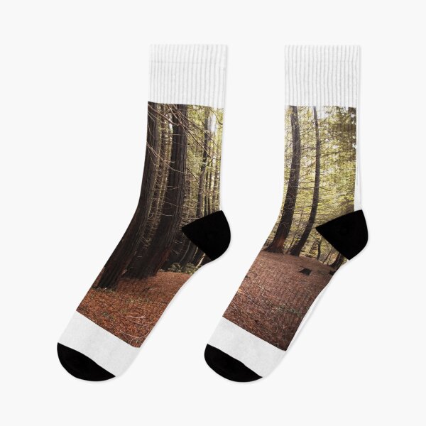 Item preview, Redwood forest designed and sold by MarioGuti.