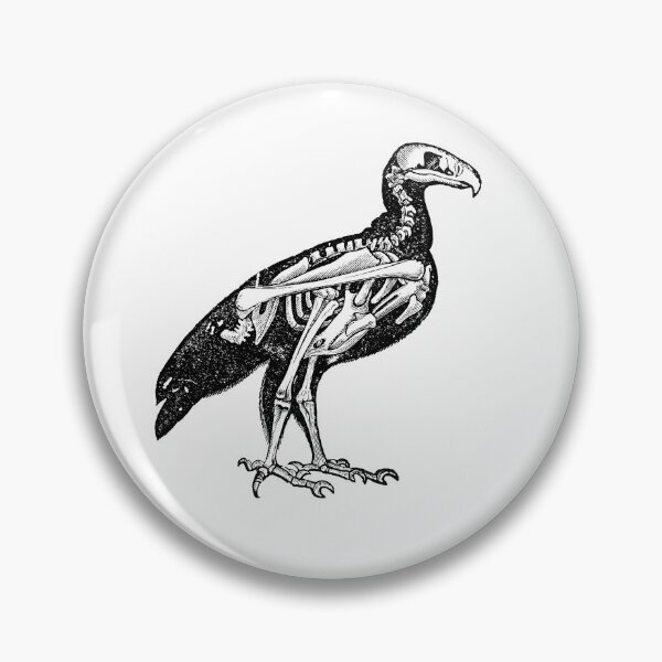 Artikelvorschau, Vintage Vogelskelett entworfen und verkauft von TheNewAntique.