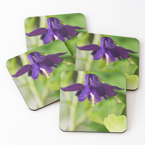 Item preview, Deep Purple Aquelegia designed and sold by imaginethis.