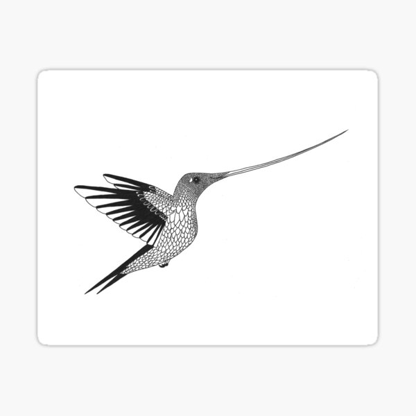 Sword-Billed Hummingbird (ink illustrations of weird animals that are real) Sticker