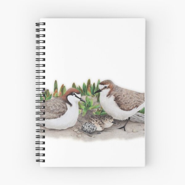 Item preview, Red-capped plovers' nest designed and sold by Milly Formby.