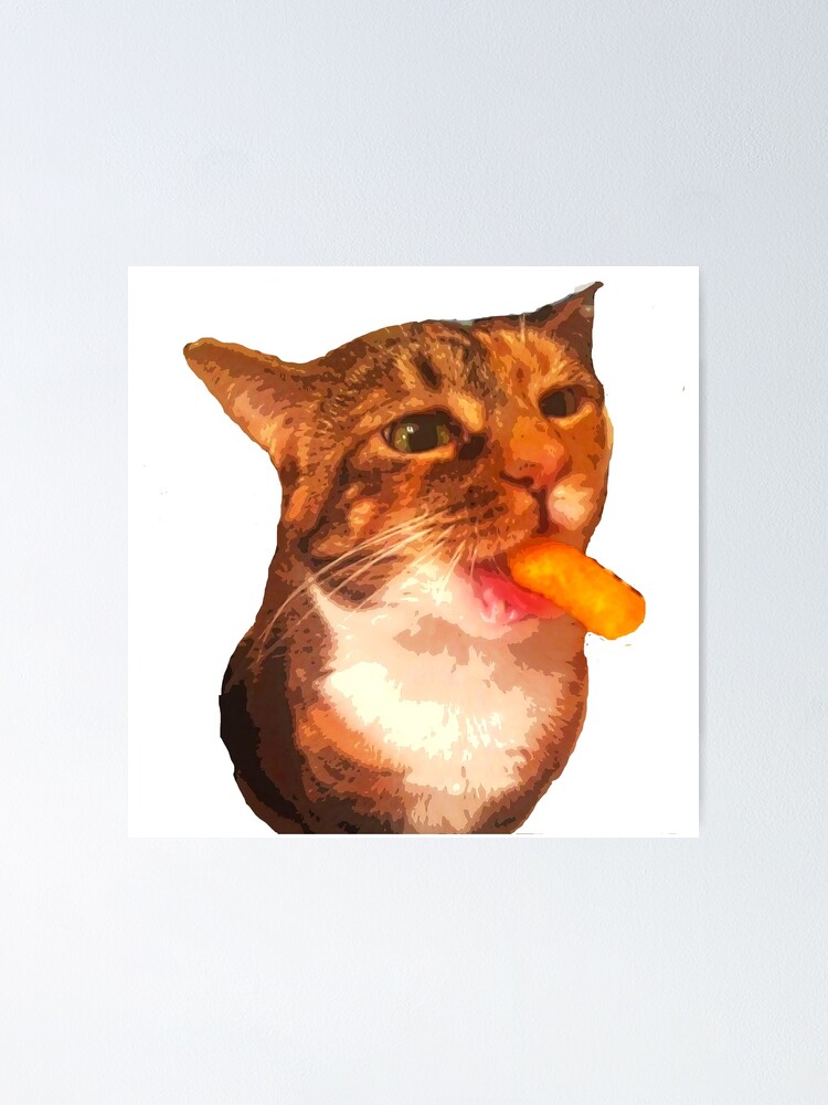 cheetos cat
