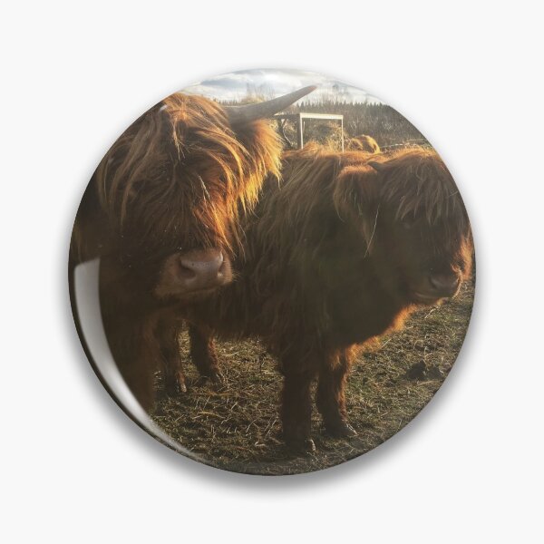 Item preview, Scottish Highland Cattle Calves 1843 designed and sold by SaarelaHighland.