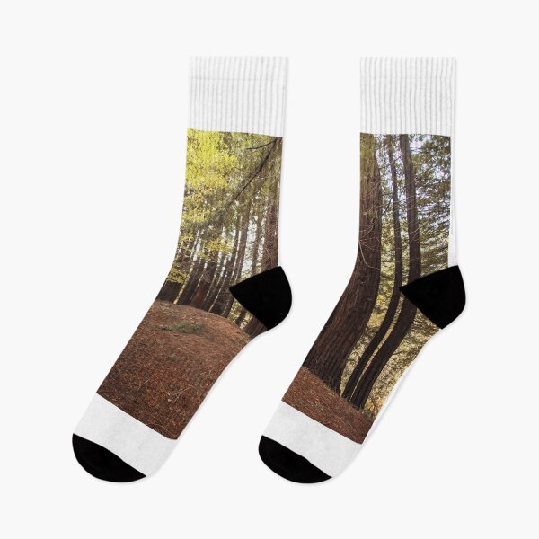 Item preview, Redwood forest designed and sold by MarioGuti.