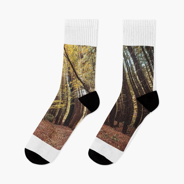 Item preview, Leaning forest designed and sold by MarioGuti.