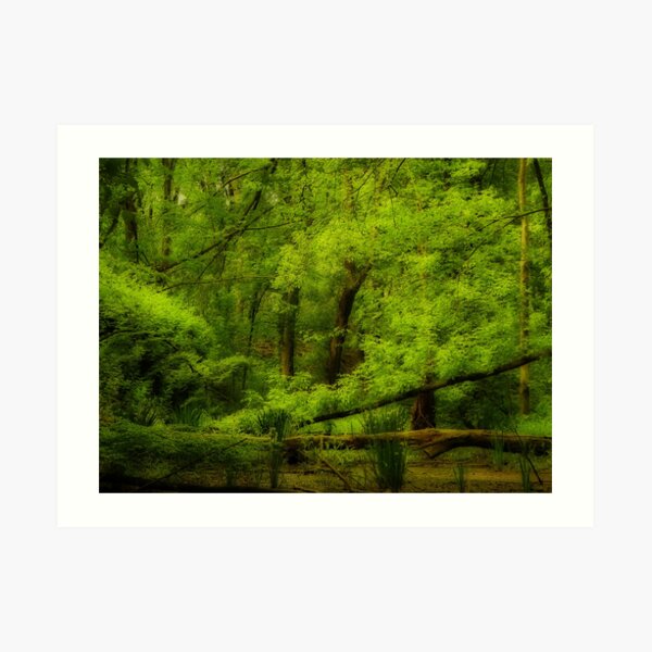 Lush and green Art Print