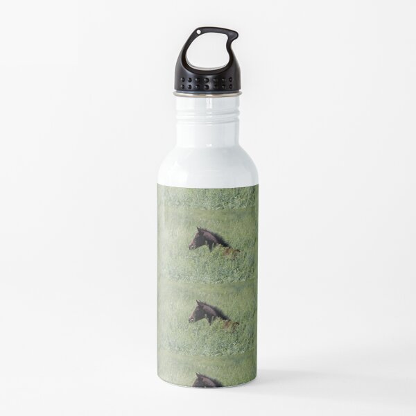 Foal in the Grass Water Bottle