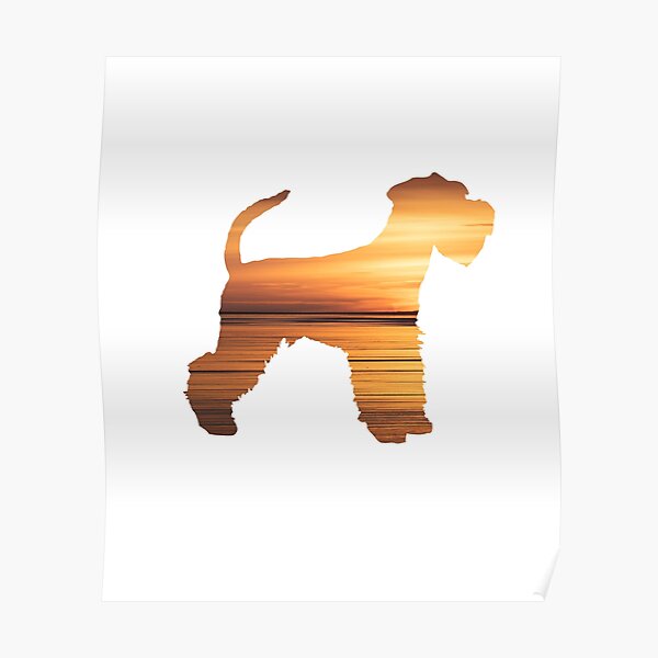 Miniature Schnauzer Sunset Poster