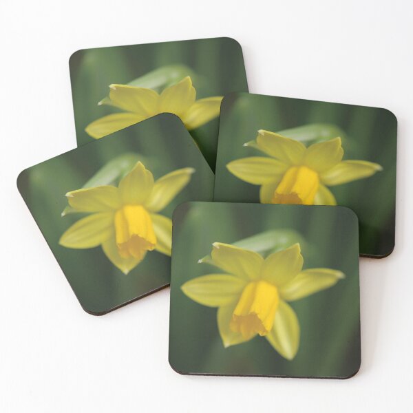 Item preview, Jonquil designed and sold by Nerone.