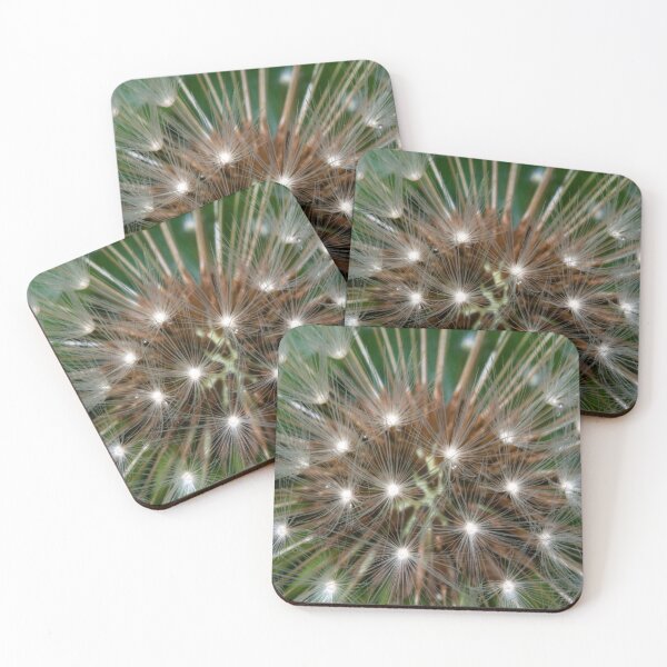 Item preview, Dandelion head designed and sold by iCimages.net.