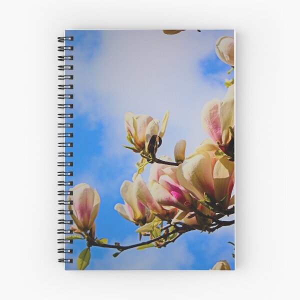 Item preview, Magnolia spring bloom designed and sold by NatureGo.