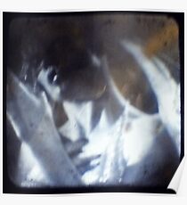 TTV 7 Poster