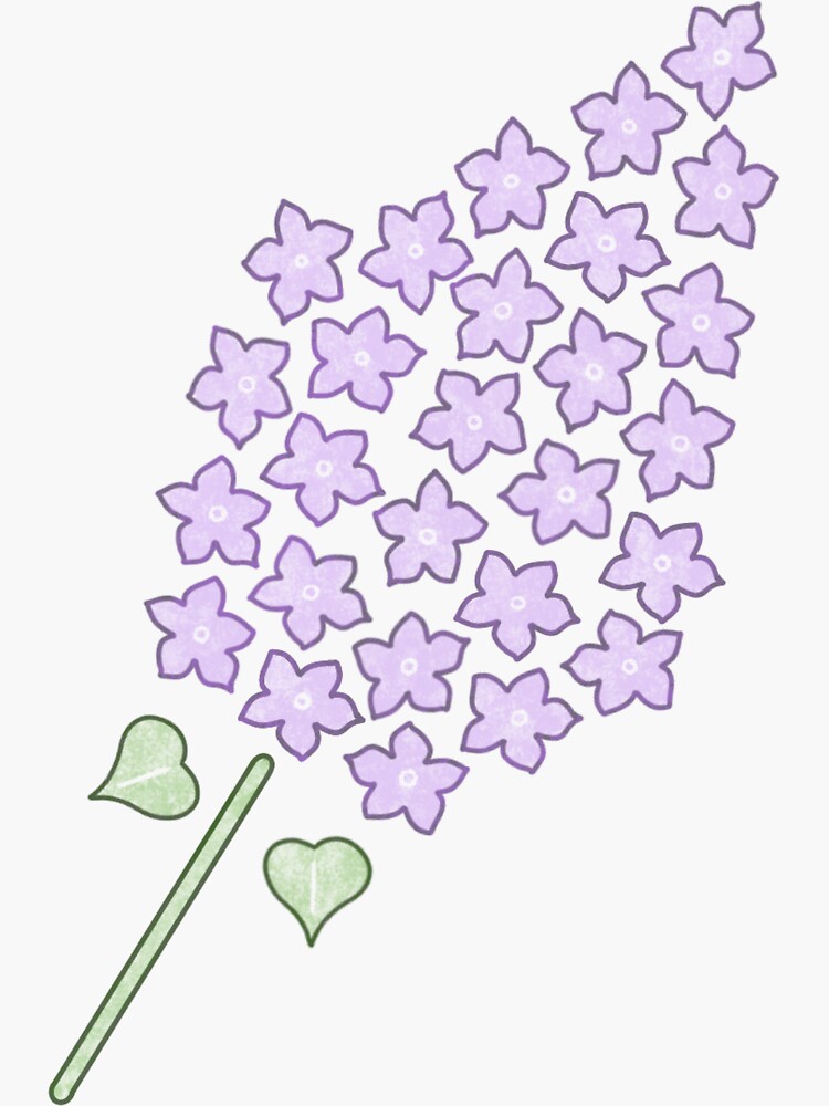 Rochester Lilac by Pine-Valley