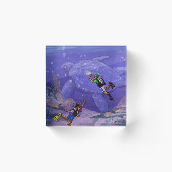 The Ghost Turtle of St. Lucia Acrylic Block