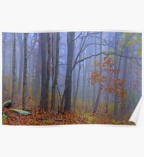 Autumn Blues Poster