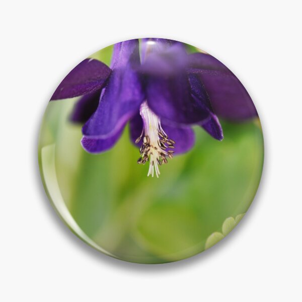 Item preview, Deep Purple Aquelegia designed and sold by imaginethis.