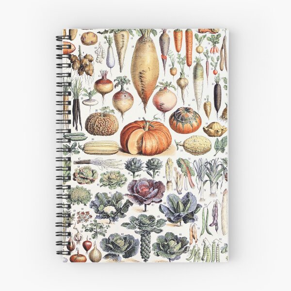 Item preview, Adolphe Millot - Légumes et Plantes Potagères - French vintage poster designed and sold by DejaVuStudio.