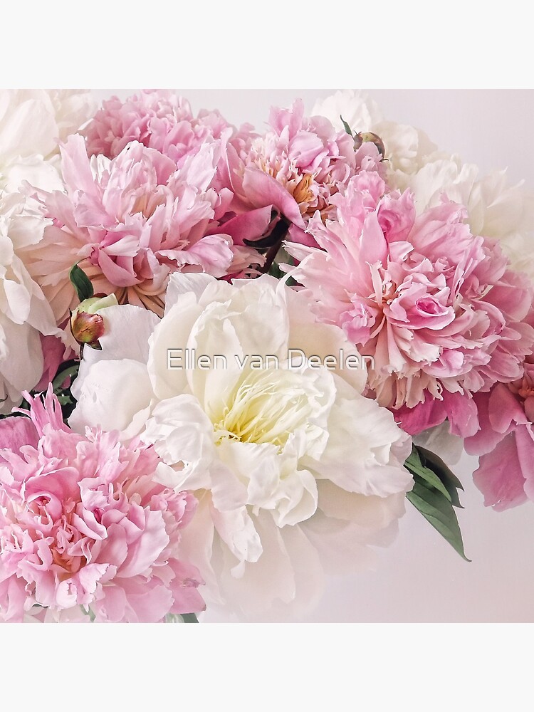 Peonies by Ellen