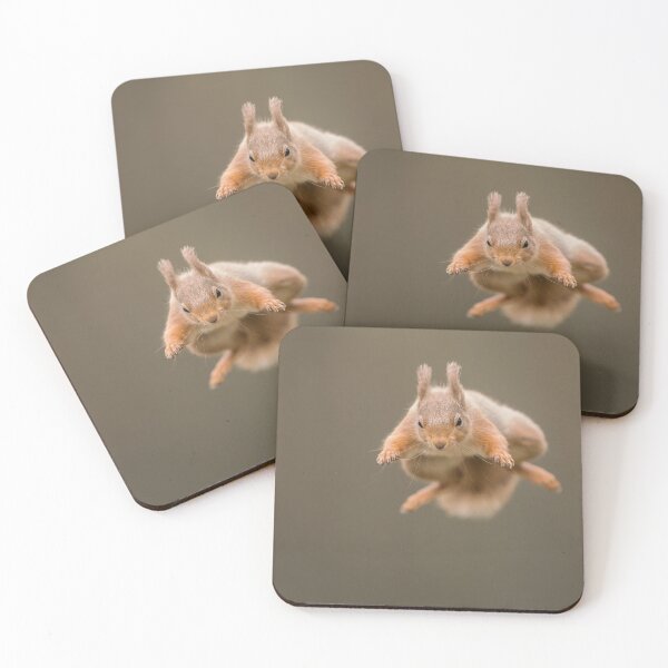 Item preview, Supersquirrel designed and sold by kt-photography.