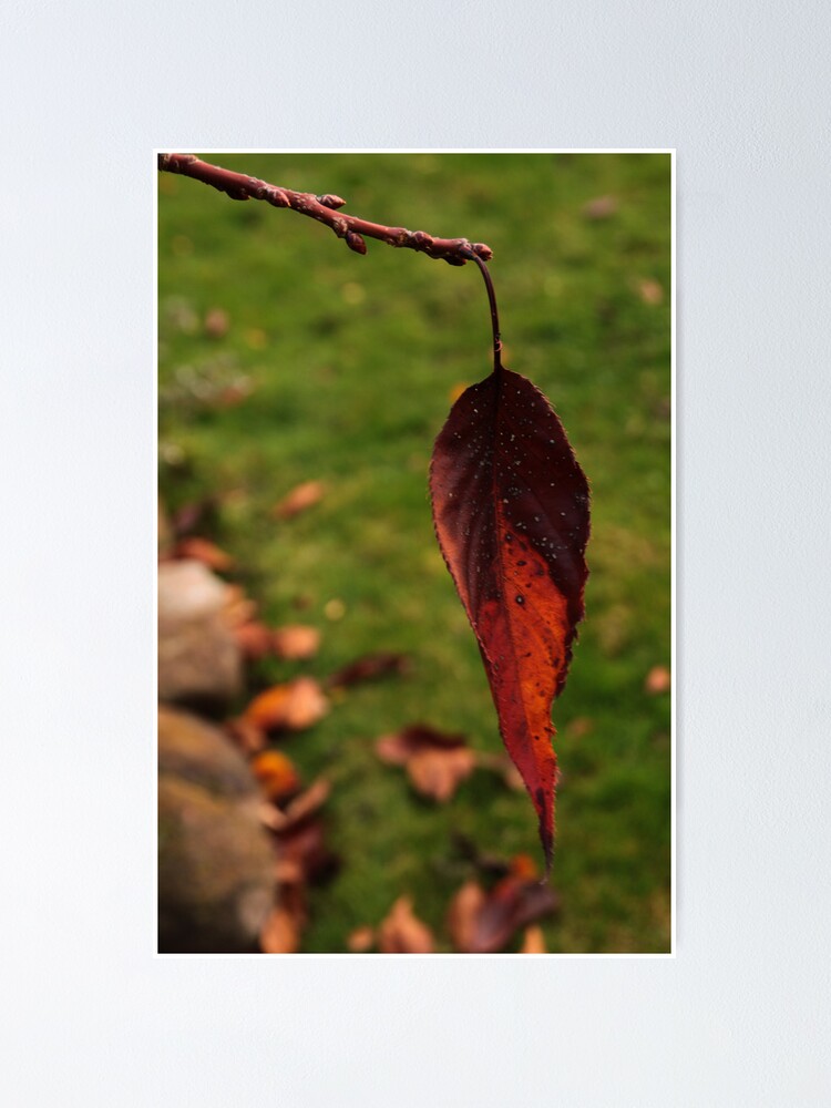 Thumbnail 1 of 3, Poster, Autumn designed and sold by RustyNail.