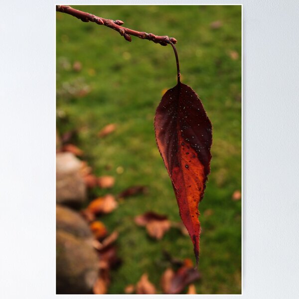 Item preview, Autumn designed and sold by Russell Jenkins.