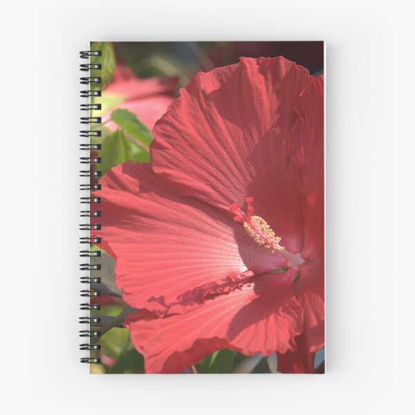 Item preview, Hibisco rojo designed and sold by Mike Cicero.