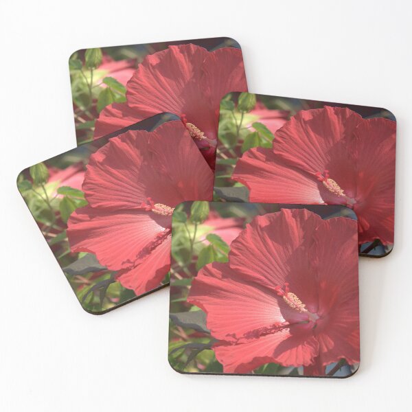 Item preview, Red hibiscus designed and sold by Mike Cicero.
