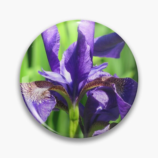 Item preview, Beautiful Iris designed and sold by Minniemoke.