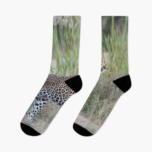 Item preview, Leopard designed and sold by MScott-Photo.