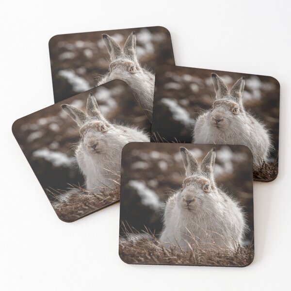 Item preview, Mountain Hare designed and sold by kt-photography.