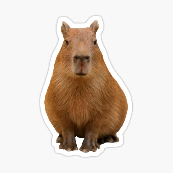 MAOFAED Capybara Gift Capybara Keychain Don't Worry Be Cappy Capybara Lover  Gift Animal Lover Gift at  Women's Clothing store