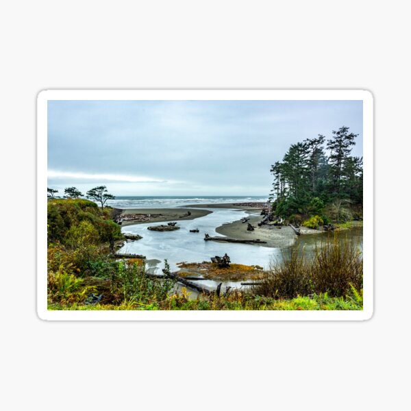 Kalaloch Creek Meets the Pacific Sticker