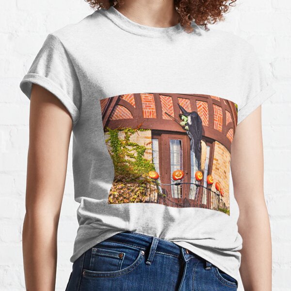 Item preview, Halloween Witch and Pumpkins - Madison - Wisconsin designed and sold by StevenRalserPhoto.