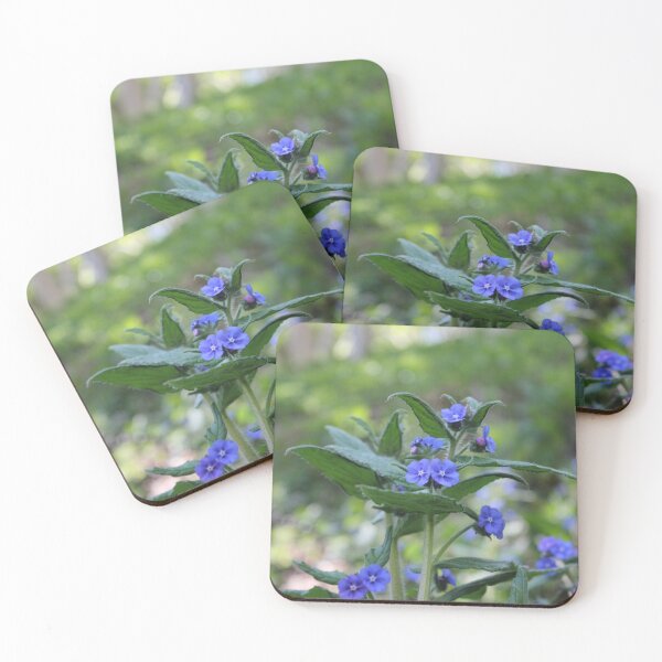 Item preview, Flowers Blooming in the Sun designed and sold by dredfell.
