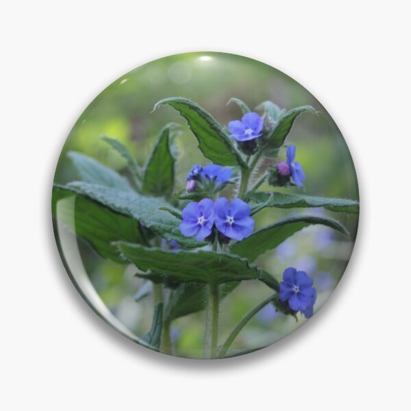 Item preview, Flowers Blooming in the Sun designed and sold by dredfell.